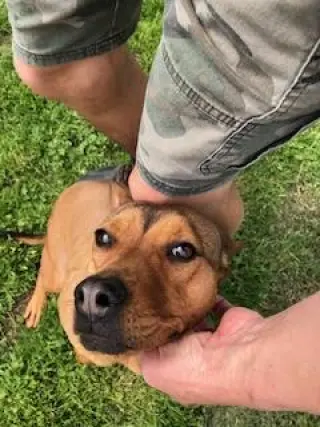 Teagan
