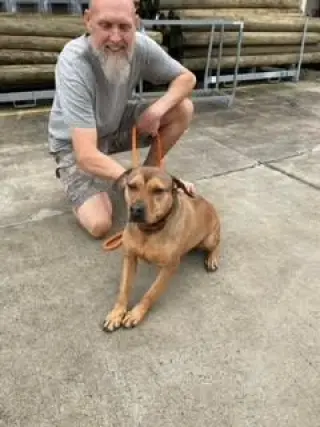 Teagan