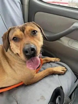 Teagan