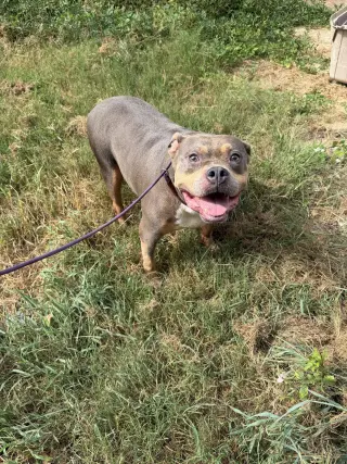 Starsky