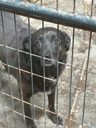Bella