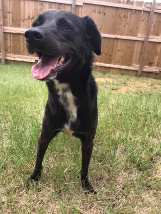 Bella