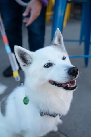 Alma