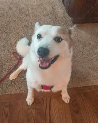 Alma