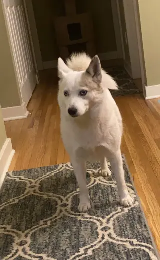Alma