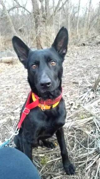 Colby