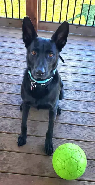 Colby
