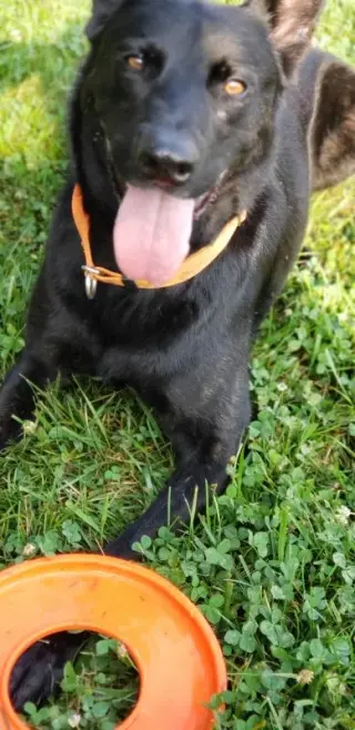 Colby