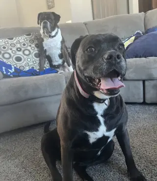Millie