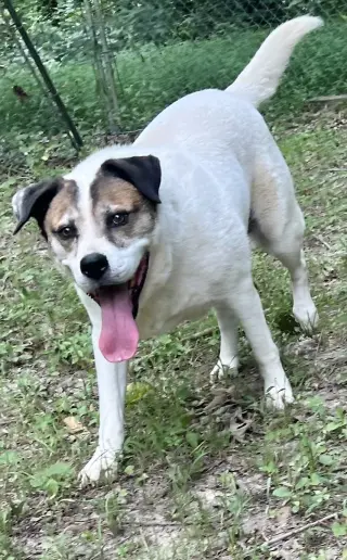 Cosmo