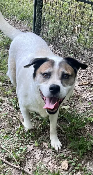Cosmo