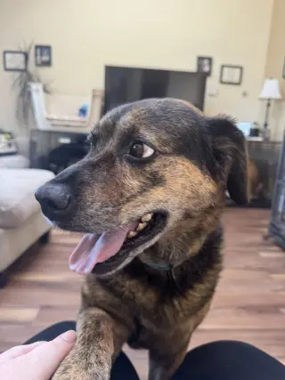 MADDIE