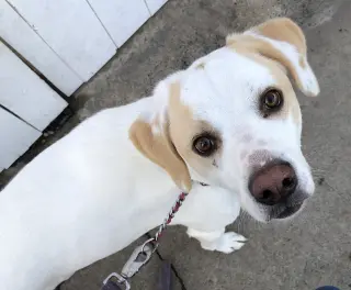Ben