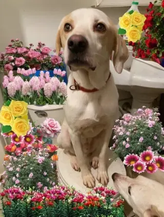 Ben