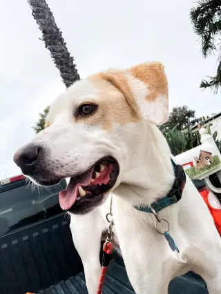 Ben