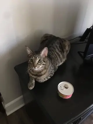 Big Mac