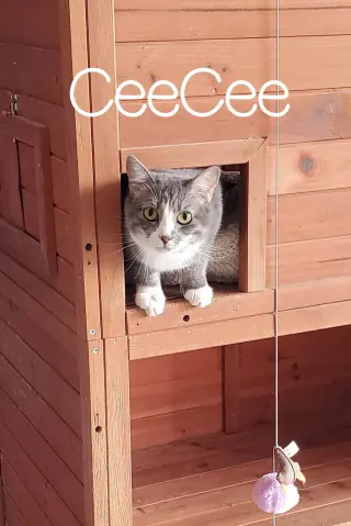 CeeCee