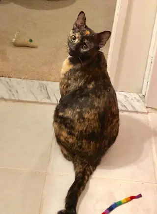PRINCESS LEIA aka OLGA