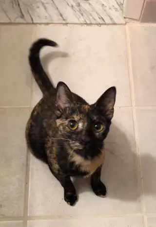 PRINCESS LEIA aka OLGA