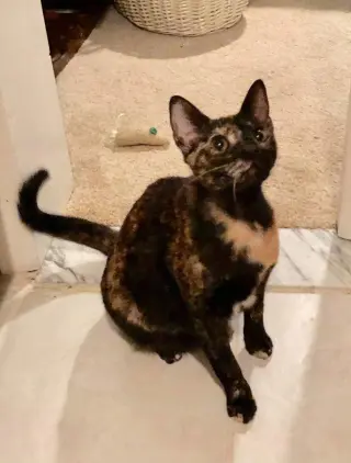 PRINCESS LEIA aka OLGA