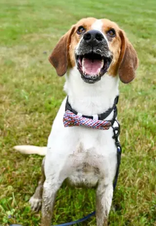 Duke
