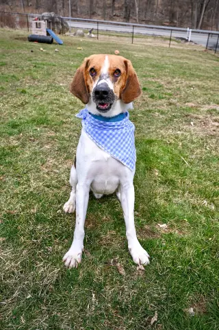 Duke