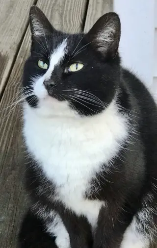 Craig
