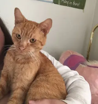 Freddy