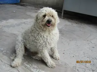 Berta