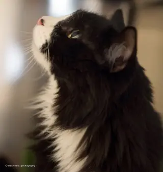Duncan