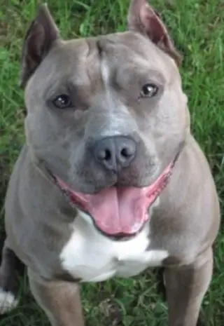 GEORGE