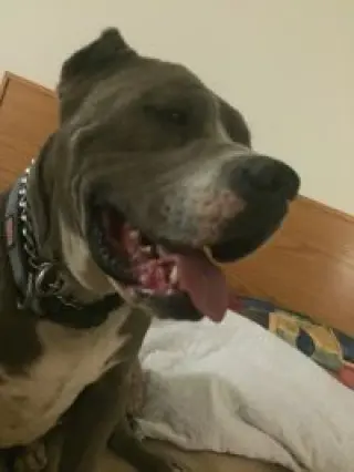 GEORGE