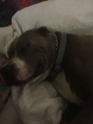 GEORGE