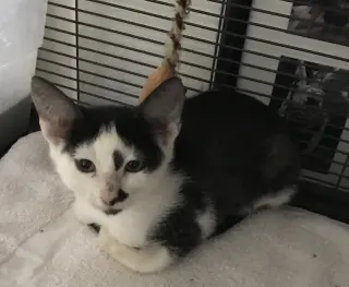 Jack Jack