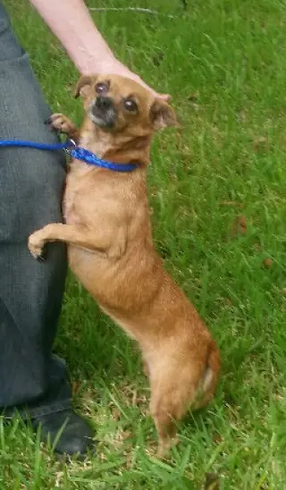 Keita