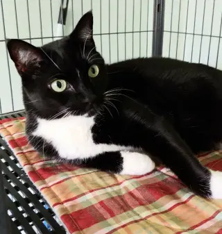 Marla