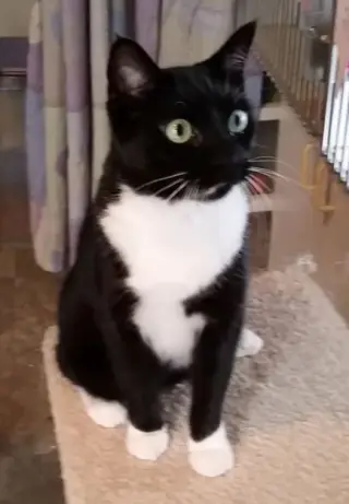 Marla