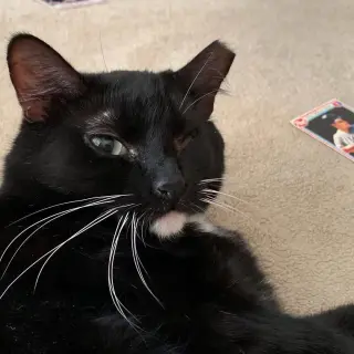 Minnie