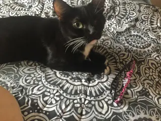 Minnie