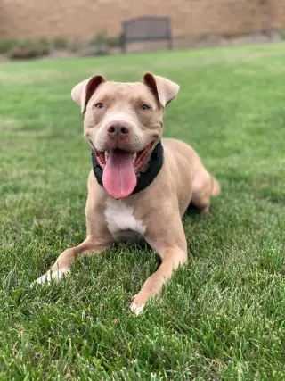 Riley AKA Harry