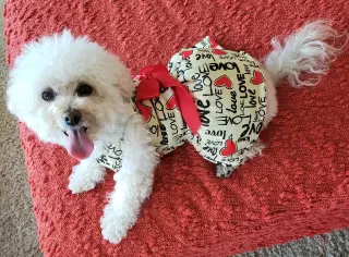 Sofia #191