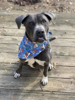 Cooper