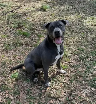 Cooper