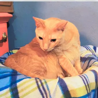 Sugar (w/Spice)