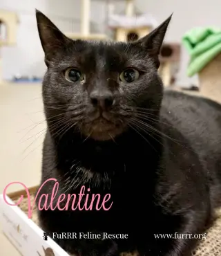 Valentine