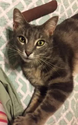 Sammy