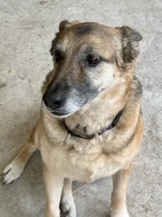Maddie