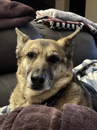 Maddie