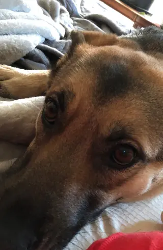 Maddie