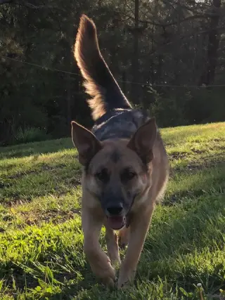 Maddie